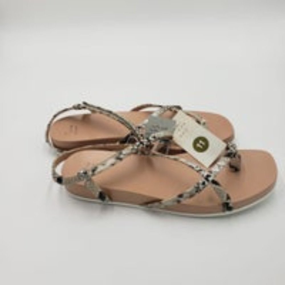 A New Day Eden Snake Print Strappy Toe Loop Sandals Gray 11 - Picture 3 of 6